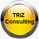 TRIZ Consulting Group GmbH.